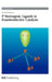 P-Stereogenic Ligands In Enantioselective Catalysis by Arnald Grabulosa