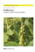 Isoflavones: Chemistry, Analysis, Function and Effects by K. Nara, Victor R. Preedy, Dongmin Liu
