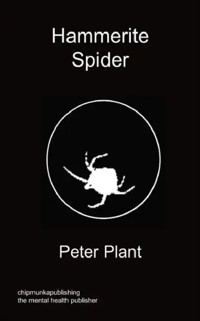 Hammerite Spider by Peter Plant
