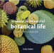 Science Is Beautiful: The Plant World: Under the Microscope by Colin Salter
