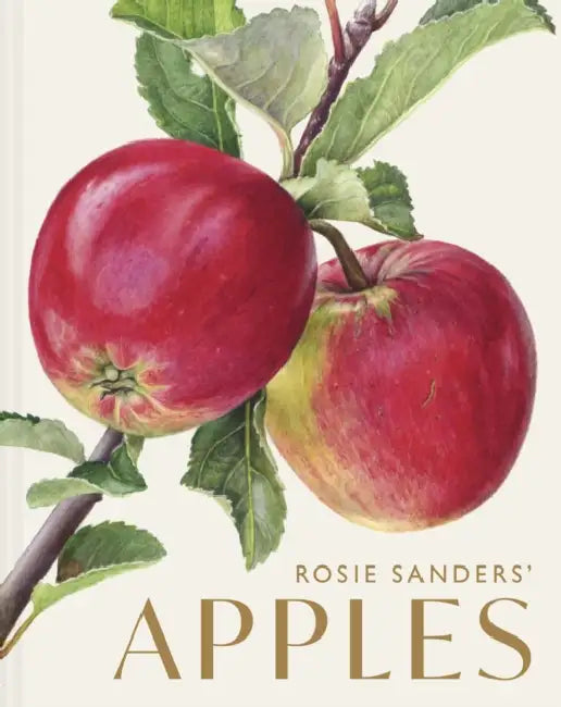 Rosie Sanders' Apples by Rosie Sanders