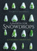 A Passion for Snowdrops: A Personal Perspective by George G. Brownlee