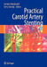 Practical Carotid Artery Stenting by Sumaira MacDonald
