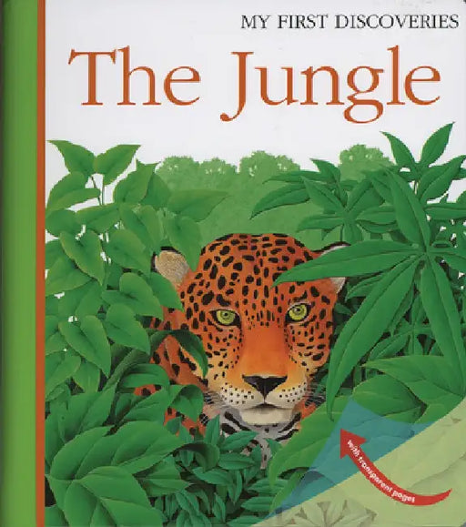 The Jungle by Rene Mettler