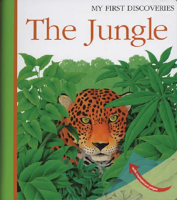 The Jungle by Rene Mettler