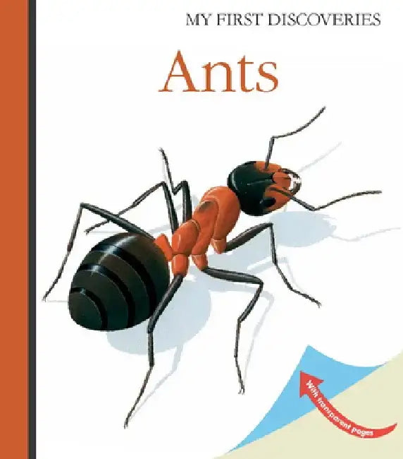 Ants by Rene Mettler