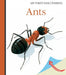 Ants by Rene Mettler