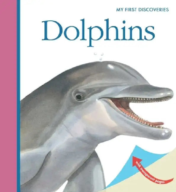 Dolphins by Sylvaine Peyrols