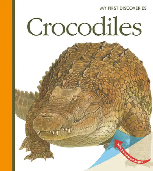 Crocodiles by Sylvaine Peyrols