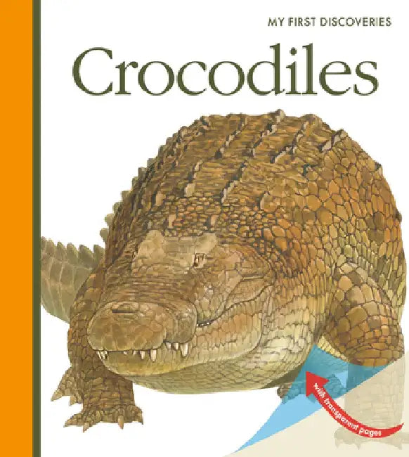 Crocodiles by Sylvaine Peyrols