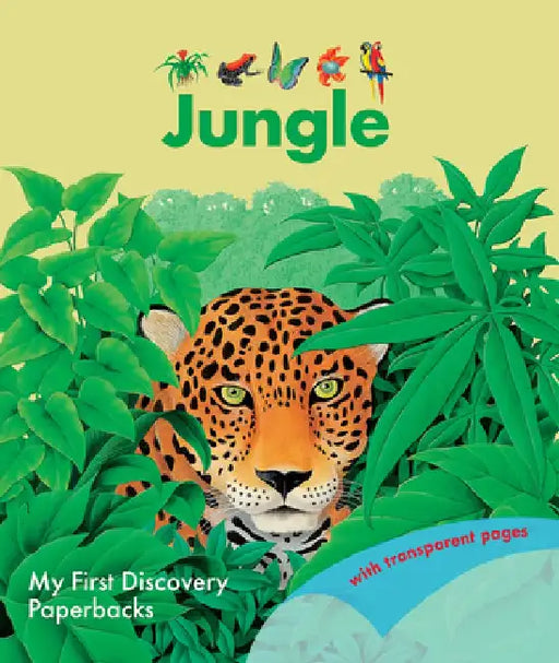 The Jungle by René Mettler