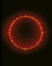Dark Room by Garry Fabian Miller