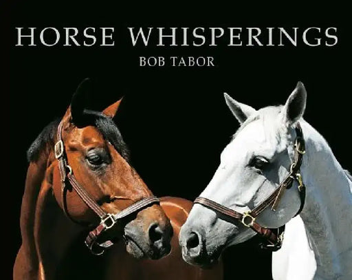 Horse Whisperings (Small Format): Portraits by Bob Tabor by Bob Tabor