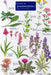 Guide to Grassland Plants 2 by Anne Bebbington