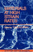 Materials at High Strain Rates by T. Z. Blazynski