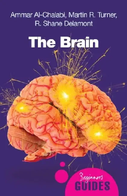 The Brain by Ammar Al-Chalabi