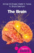 The Brain by Ammar Al-Chalabi