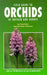 Field Guide to Orchids of Britain and Europe by Karl Peter Buttler