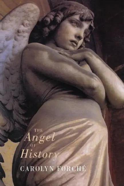 The Angel of History by Carolyn Forche