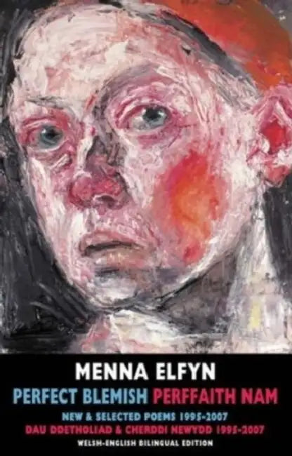 Perfect Blemish / Perffaith Nam: New & Selected Poems 1995-2007 / Dau Ddetholiad & Cherddi Newydd 1995-2007 by Menna Elfyn