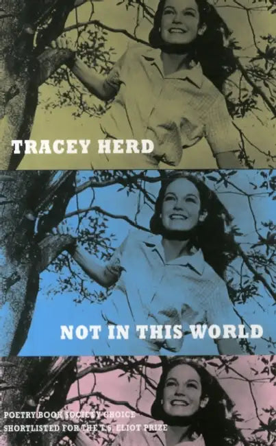 Not in This World by Tracey Herd