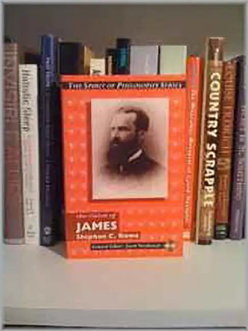 The Vision Of James by Stephen C. Rowe, Martin E. Marty