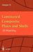 Laminated Composite Plates and Shells: 3D Modelling by Jianqiao Ye