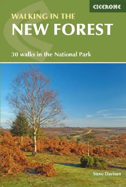 Walking in the New Forest by Steve Davison