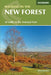 Walking in the New Forest by Steve Davison