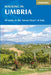 Walking in Umbria: 40 Walks in the 'Green Heart' of Italy by Gillian Price