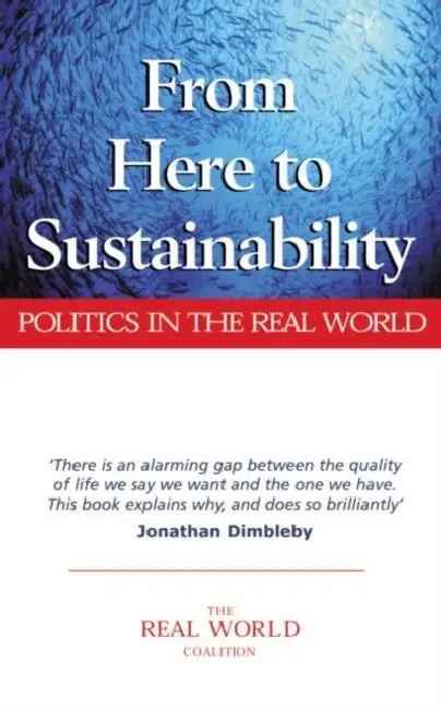 From Here to Sustainability: Politics in the Real World by Ian Christie