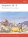 Megiddo 1918 by John Russell Smith
