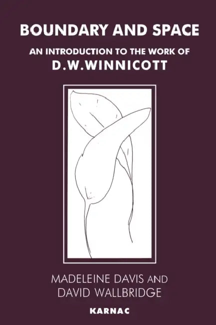 Boundary and Space: An Introduction to the Work of D.W. Winnicott by Madeleine Davis, David Wallbridge