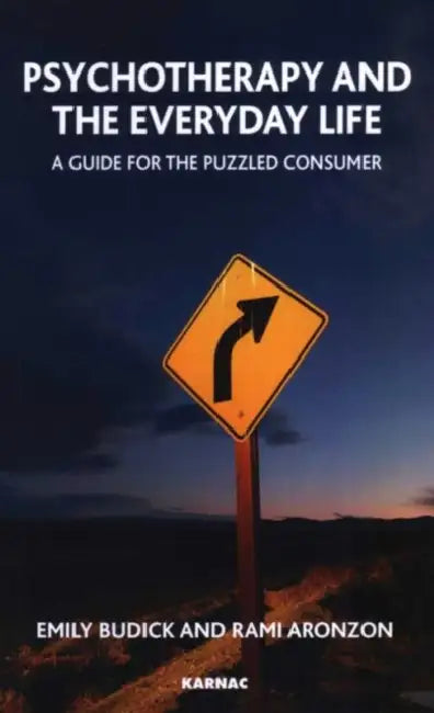 Psychotherapy and the Everyday Life: A Guide for the Puzzled Consumer by Emily Budick