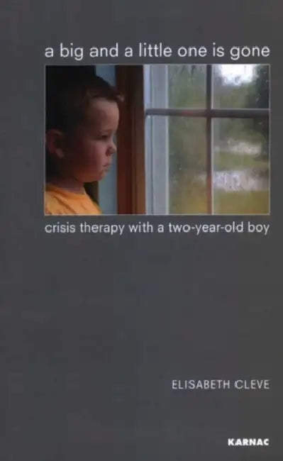A Big and a Little One Is Gone: Crisis Therapy with a Two-Year-Old Boy by Elisabeth Cleve