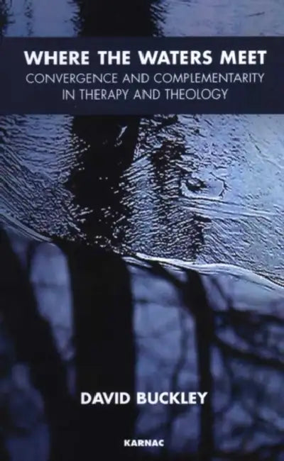 Where the Waters Meet: Convergence and Complementarity in Therapy and Theology by Buckley David