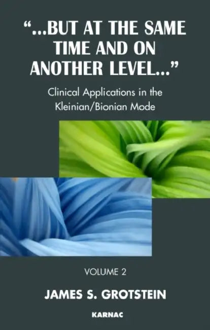 But at the Same Time and on Another Level by James S. Grotstein