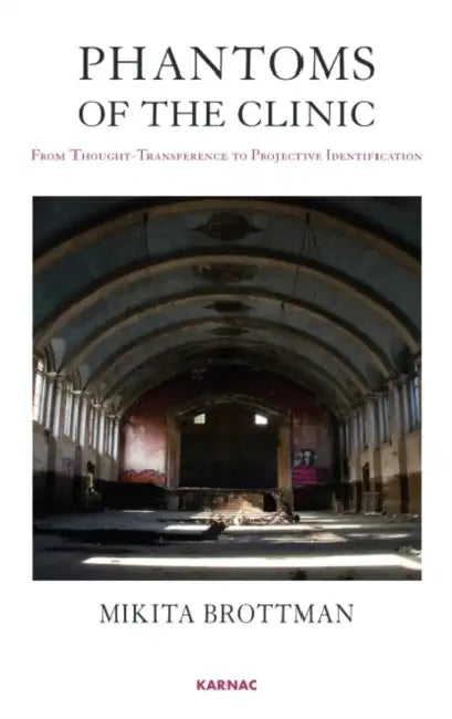 Phantoms of the Clinic: From Thought-Transference to Projective Identification by Mikita Brottman
