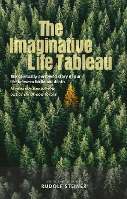 The Imaginative Life Tableau: The Spiritually Perceived Story of Our Life Between Birth and Death: Meditative Knowledge Out of Childhood Forces by Rudolf Steiner