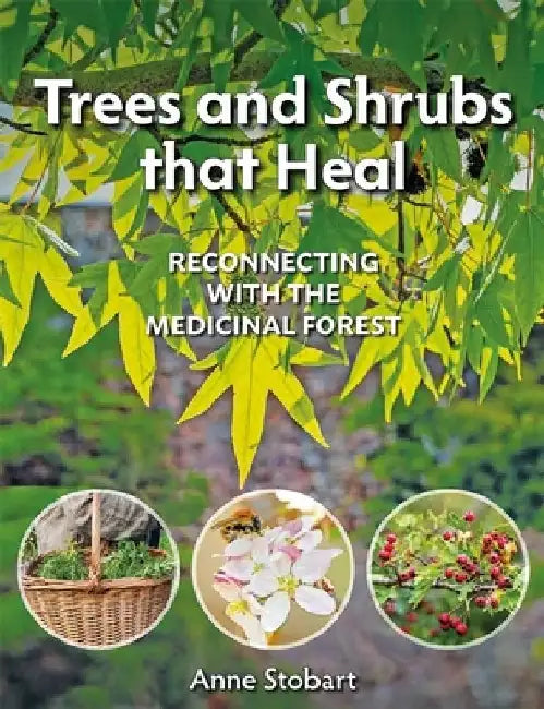 Trees and Shrubs That Heal: Reconnecting with the Medicinal Forest by Anne Stobart