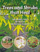 Trees and Shrubs That Heal: Reconnecting with the Medicinal Forest by Anne Stobart