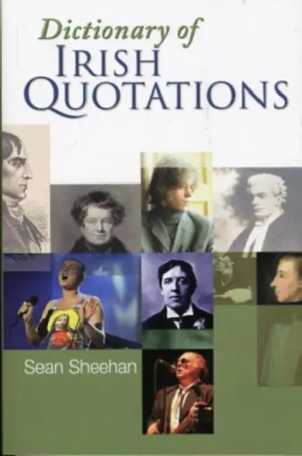 Dictionary Of Irish Quotations by Seán Sheehan