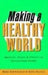 Making a Healthy World: Agencies, Actors and Policies in International Health by Meri Koivusalo