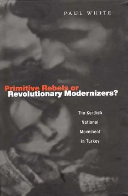 Primitive Rebels or Revolutionary Modernizers by Paul J. White