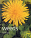 Weeds by Charlie Ryrie