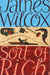 Sort of Rich by James Wilcox