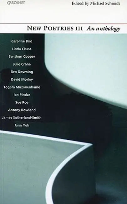 New Poetries III: An Introductory Anthology Volume 3 by Michael Schmidt