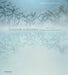 Shadow Catchers: Camera-Less Photography by Martin Barnes