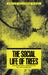 The Social Life of Trees: Anthropological Perspectives on Tree Symbolism by Laura Rival