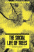 The Social Life of Trees: Anthropological Perspectives on Tree Symbolism by Laura Rival